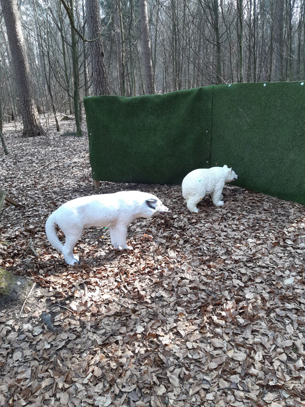 You are currently viewing Neue Tiere im 3D Parcours (25.03.2026)